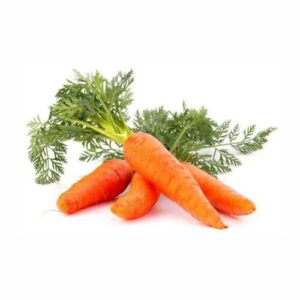 Fresh Healtty Carrot