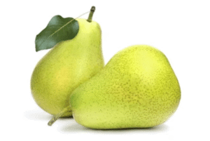 Freshly Picked Pears