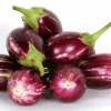 Farm Fresh Brinjal (Eggplant)