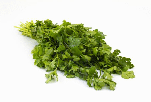 Farm Fresh Coriander (Dhaniya)