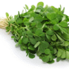 Fresh Mint (Pudina)