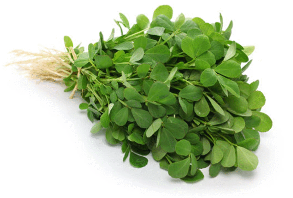 Fresh Mint (Pudina)
