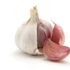 Freshly Harvested Garlic