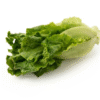 Leafy Lettuce
