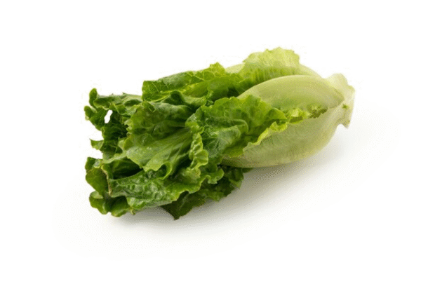 Leafy Lettuce