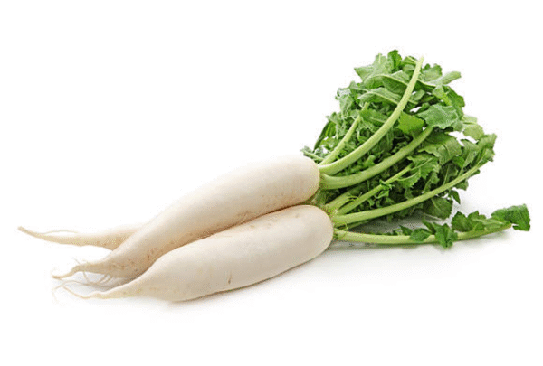 Local Farm Radish