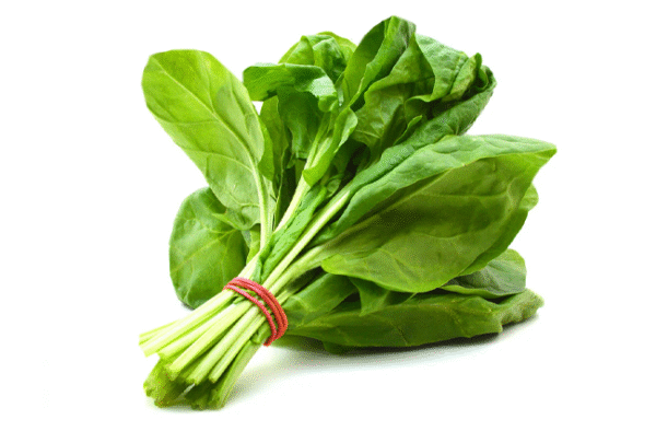 Fresh & Healthy Spinach