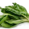 Freshly Packed Organic Swiss Chard Bunch