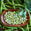 Lima Beans (Butter Beans)