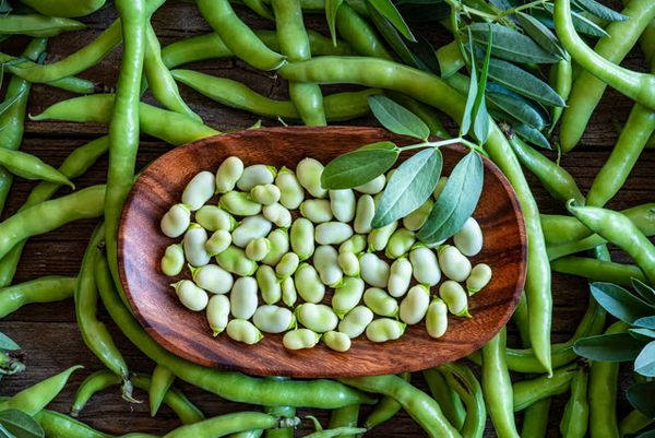 Lima Beans (Butter Beans)