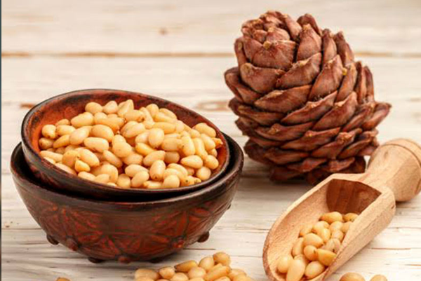 Premium Pine Nuts