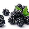 Sweet & Juicy Fresh Blackberries