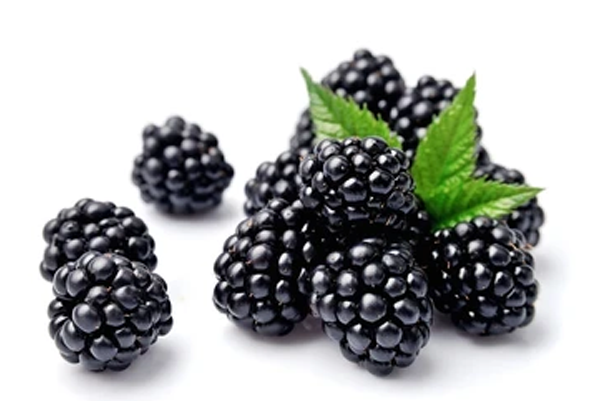 Sweet & Juicy Fresh Blackberries