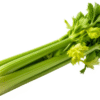Tender & Crunchy Green Celery