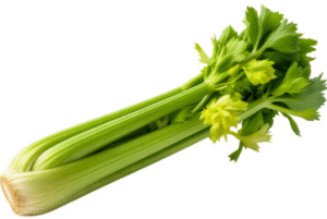 Tender & Crunchy Green Celery
