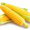top quality sweet corn