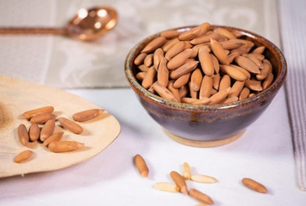 Pine Nuts (Chilgoza)